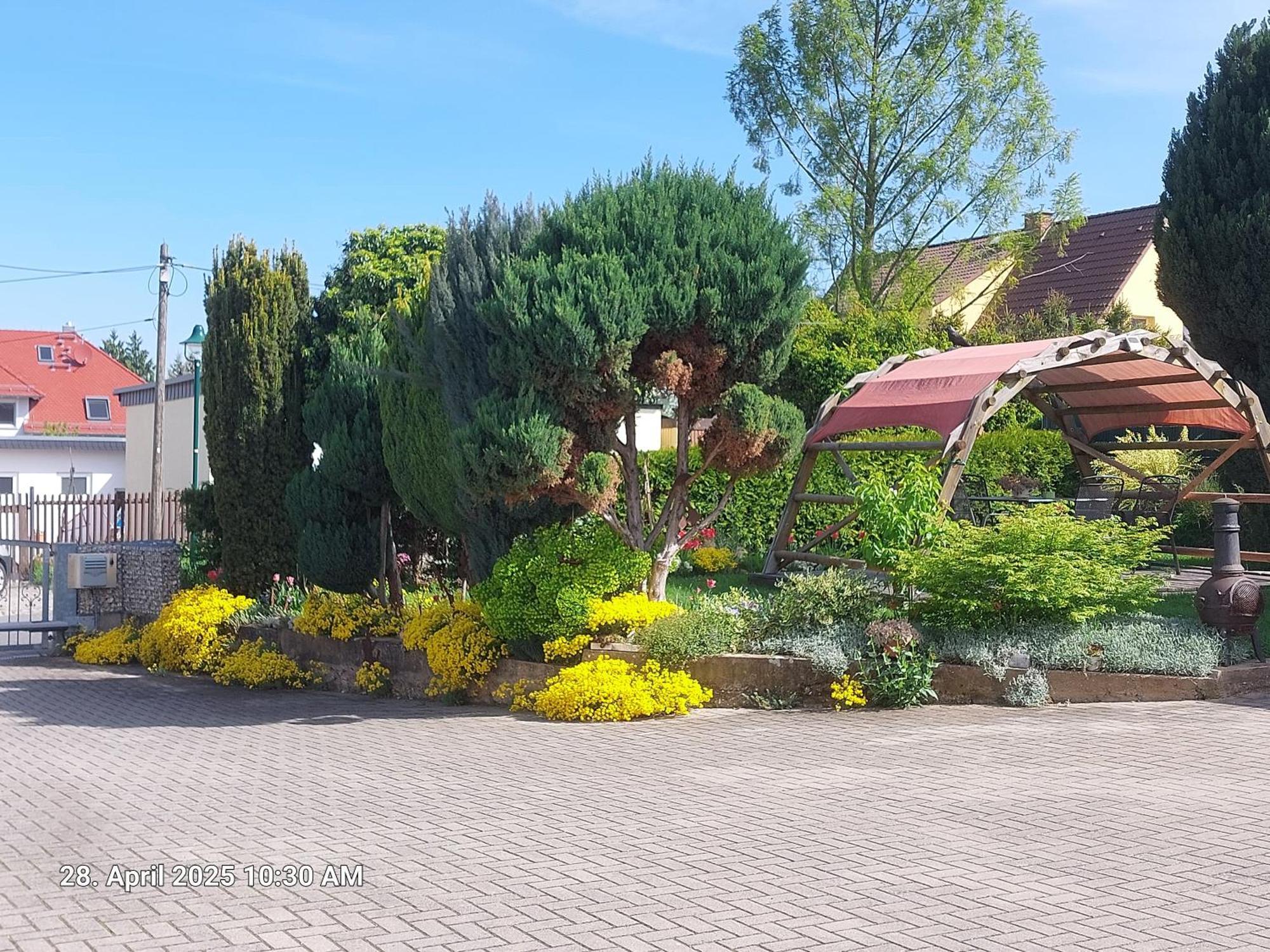 Ferienwohnung Bienwald Mit Pool Fuer 4 - 6 Personen Mit 3 Schlafzimmern Grobitz Exterior foto